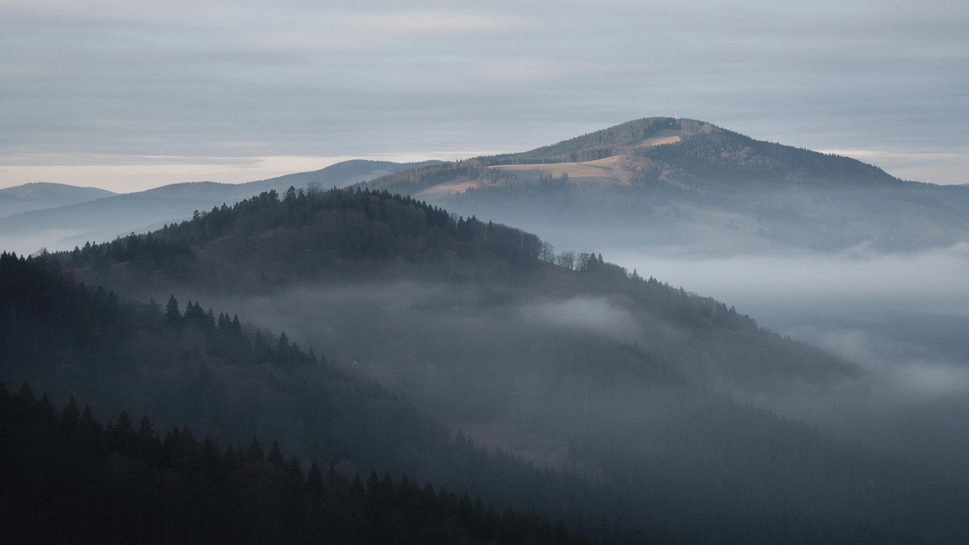 Misty Carpathian ridge at first light above a mineral spring valley